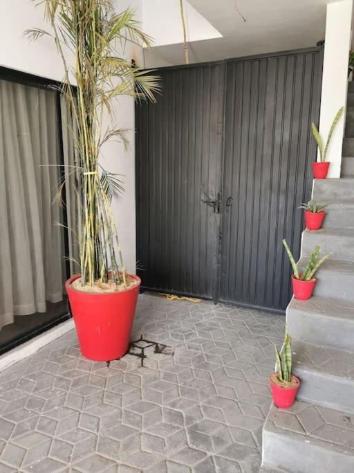 Maar Estudios 6, A 2 Cuadras Del Malecon De Apartment *